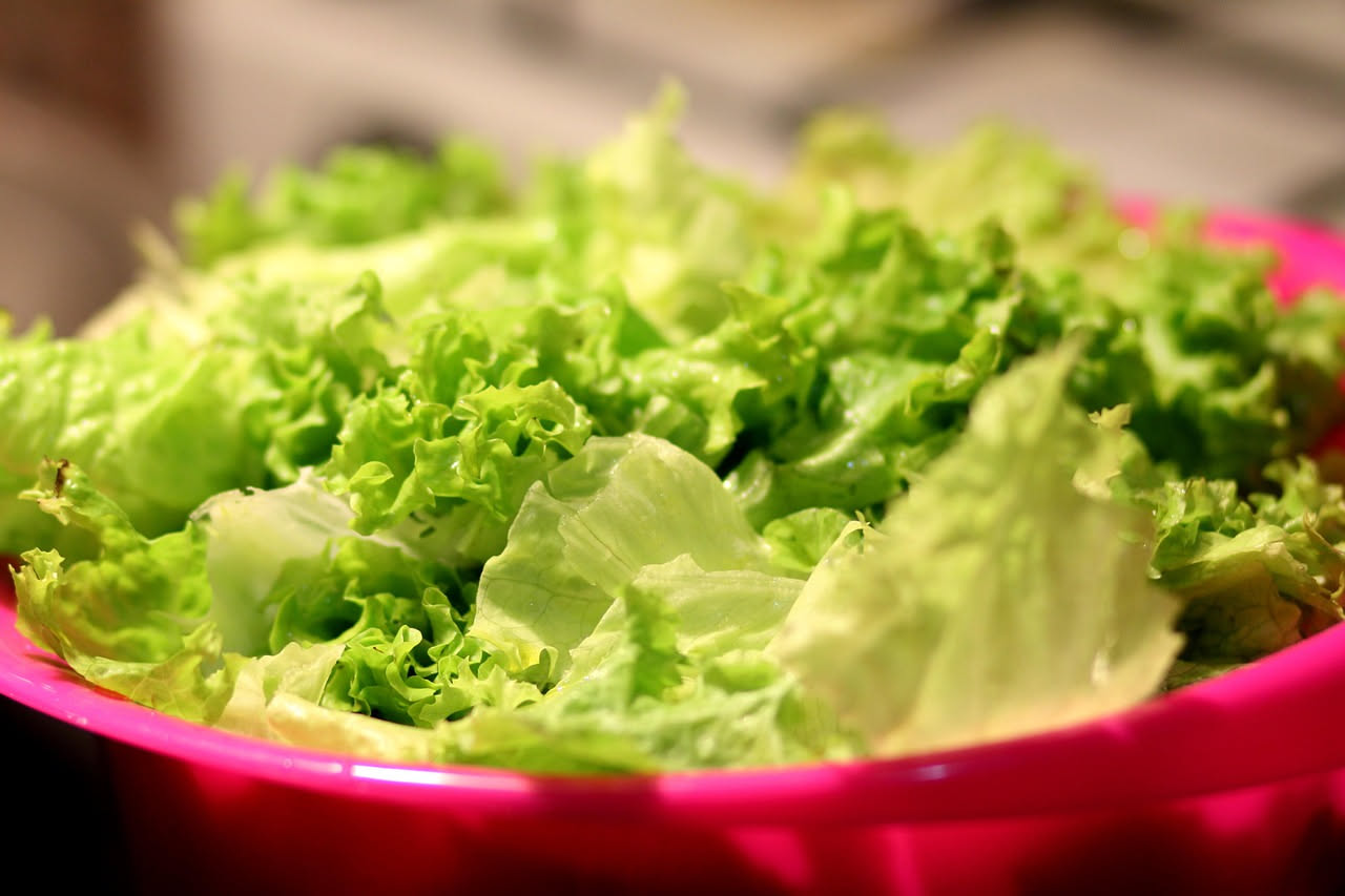 Come mantenere l'insalata fresca più a lungo a luglio: la guida pratica