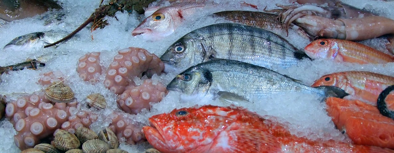Lezione 45 - Il pesce: freschezza e come riconoscerla